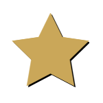 Bronze Star